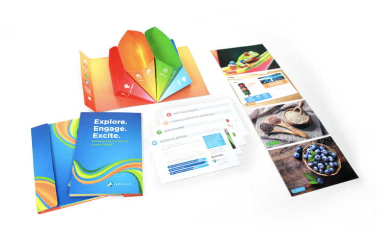 Screen Shot 2022-11-07 at 1.13.55 PM